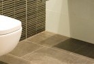 Haly Creektoilet-repairs-and-replacements-5.jpg; ?>